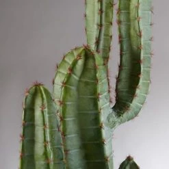 Maisons Du Monde Plantes D'extérieur Artificielles Cactus Artificiel D'extérieur En Pot -Parasols Soldes Magasin cactus artificiel d exterieur en pot 1000 14 1 176916 3