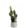 LANADECO Plantes D'intérieur Et Fleurs D'intérieur Cactus Vert Et Pot Ciment H50cm 2 LANADECO Plantes D'intérieur Et Fleurs D'intérieur Cactus Vert Et Pot Ciment H50cm -Parasols Soldes Magasin cactus vert et pot ciment h50cm