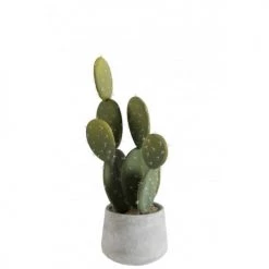 LANADECO Plantes D'intérieur Et Fleurs D'intérieur Cactus Vert Et Pot Ciment H50cm