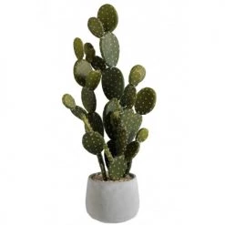 LANADECO Plantes D'intérieur Et Fleurs D'intérieur Cactus Vert Et Pot Ciment H66cm