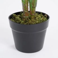 Mica Decorations Plantes D'intérieur Et Fleurs D'intérieur Calathea Orbifolia Artificielle En Pot H90 -Parasols Soldes Magasin calathea orbifolia artificielle en pot h90 4