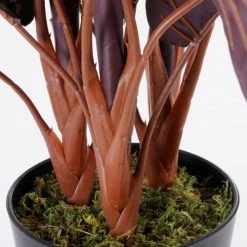 Mica Decorations Plantes D'intérieur Et Fleurs D'intérieur Calathea Roseopicta Artificielle En Pot H60 -Parasols Soldes Magasin calathea roseopicta artificielle en pot h60 2