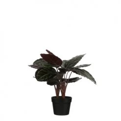 Mica Decorations Plantes D'intérieur Et Fleurs D'intérieur Calathea Roseopicta Artificielle En Pot H60