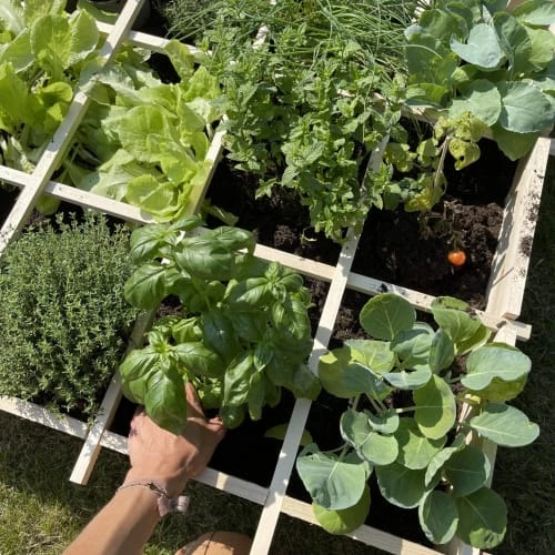 Alice's Garden Pots, Cache-pots Et Jardinières D'extérieur Carré Potager 90x90, Epeautre - Potager En Bois 6 Alice's Garden Pots, Cache-pots Et Jardinières D'extérieur Carré Potager 90x90, Epeautre - Potager En Bois – Image 4