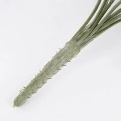 Mica Decorations Plantes D'intérieur Et Fleurs D'intérieur Citronnelle Suspendue Artificielle H84 -Parasols Soldes Magasin citronnelle suspendue artificielle h84 5