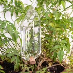 Kikkerland Pots, Cache-pots Et Jardinières D'extérieur Cristal Irrigant Pour Plantes -Parasols Soldes Magasin cristal irrigant pour plantes 4