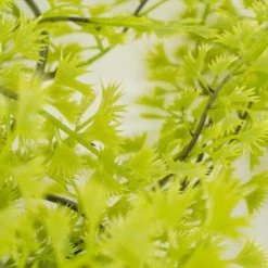 Mica Decorations Plantes D'intérieur Et Fleurs D'intérieur Cyprès Suspendue Artificielle H95 -Parasols Soldes Magasin cypres suspendue artificielle h95 3