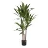 Mica Decorations Plantes D'intérieur Et Fleurs D'intérieur Dracaena Artificielle En Pot H100 -Parasols Soldes Magasin dracaena artificielle en pot h100