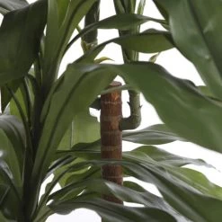 Mica Decorations Plantes D'intérieur Et Fleurs D'intérieur Dracaena Artificielle En Pot H100 -Parasols Soldes Magasin dracaena artificielle en pot h100 4