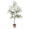 Maisons Du Monde Plantes D'extérieur Artificielles Eucalyptus Artificiel Et Pot Tressé H176 -Parasols Soldes Magasin eucalyptus artificiel et pot tresse h176 1000 1 37 204545 1