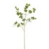 LANADECO Plantes D'intérieur Et Fleurs D'intérieur Eucalyptus Branche Plastique Verte H138cm -Parasols Soldes Magasin eucalyptus branche plastique verte h138cm