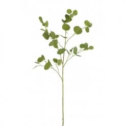 LANADECO Plantes D'intérieur Et Fleurs D'intérieur Eucalyptus Branche Plastique Verte H138cm