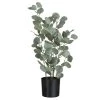 LANADECO Plantes D'intérieur Et Fleurs D'intérieur Eucalyptus En Pot Plastique Vert H60cm -Parasols Soldes Magasin eucalyptus en pot plastique vert h60cm