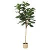 Maisons Du Monde Plantes D'extérieur Artificielles Ficus Artificiel Et Pot Tressé -Parasols Soldes Magasin ficus artificiel et pot tresse 1000 12 14 204522 1