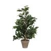 Mica Decorations Plantes D'intérieur Et Fleurs D'intérieur Ficus Exotica Artificielle En Pot H65 -Parasols Soldes Magasin ficus exotica artificielle en pot h65