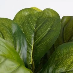 Mica Decorations Plantes D'intérieur Et Fleurs D'intérieur Ficus Lyrata Artificielle En Pot H35 -Parasols Soldes Magasin ficus lyrata artificielle en pot h35 1