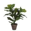 Mica Decorations Plantes D'intérieur Et Fleurs D'intérieur Ficus Lyrata Artificielle En Pot H35 -Parasols Soldes Magasin ficus lyrata artificielle en pot h35