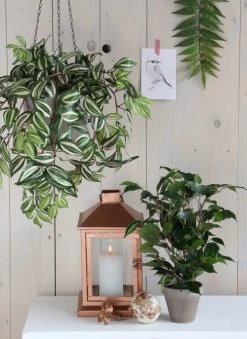 Mica Decorations Plantes D'intérieur Et Fleurs D'intérieur Ficus Natasja Artificielle Verte En Pot H40 -Parasols Soldes Magasin ficus natasja artificielle verte en pot h40 2