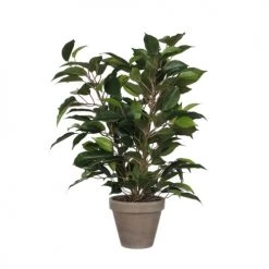 Mica Decorations Plantes D'intérieur Et Fleurs D'intérieur Ficus Natasja Artificielle Verte En Pot H40