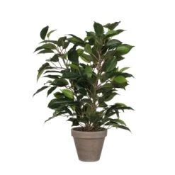 Mica Decorations Plantes D'intérieur Et Fleurs D'intérieur Ficus Natasja Artificielle Verte Panaché En Pot H40 -Parasols Soldes Magasin ficus natasja artificielle verte en pot h40 6