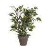 Mica Decorations Plantes D'intérieur Et Fleurs D'intérieur Ficus Natasja Artificielle Verte Panaché En Pot H40 1 Mica Decorations Plantes D'intérieur Et Fleurs D'intérieur Ficus Natasja Artificielle Verte Panaché En Pot H40 -Parasols Soldes Magasin ficus natasja artificielle verte panache en pot h40