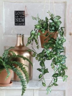 Mica Decorations Plantes D'intérieur Et Fleurs D'intérieur Fittonia Suspendue Artificielle H80 -Parasols Soldes Magasin fittonia suspendue artificielle h80 1