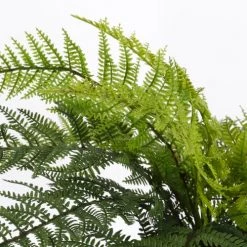 Mica Decorations Plantes D'intérieur Et Fleurs D'intérieur Fougère Artificielle En Pot H38 -Parasols Soldes Magasin fougere artificielle en pot h38 4