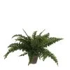 Mica Decorations Plantes D'intérieur Et Fleurs D'intérieur Fougère Artificielle En Pot H42