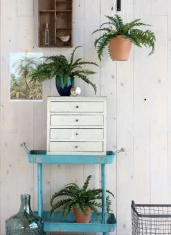 Mica Decorations Plantes D'intérieur Et Fleurs D'intérieur Fougère Artificielle En Pot H42 -Parasols Soldes Magasin fougere artificielle en pot h42 3