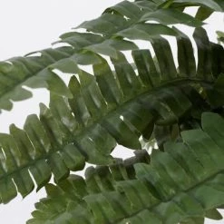 Mica Decorations Plantes D'intérieur Et Fleurs D'intérieur Fougère Artificielle En Pot H42 -Parasols Soldes Magasin fougere artificielle en pot h42 5