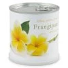 Mac Flower's Plantes D'intérieur Et Fleurs D'intérieur Frangipanier à Faire Pousser En Boite -Parasols Soldes Magasin frangipanier a faire pousser en boite