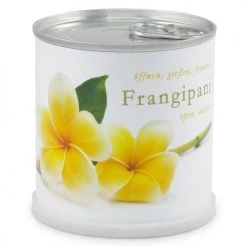 Mac Flower's Plantes D'intérieur Et Fleurs D'intérieur Frangipanier à Faire Pousser En Boite