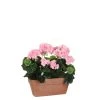 Mica Decorations Plantes D'intérieur Et Fleurs D'intérieur Géranium Artificielle Rose En Pot H40 -Parasols Soldes Magasin geranium artificielle rose en pot h40 2