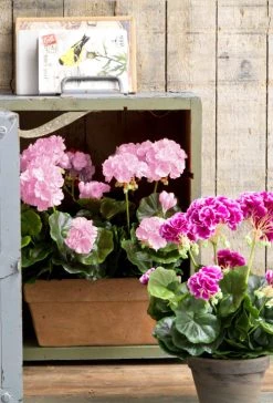 Mica Decorations Plantes D'intérieur Et Fleurs D'intérieur Géranium Artificielle Rose En Pot H40 -Parasols Soldes Magasin geranium artificielle rose en pot h40 3