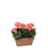 Mica Decorations Plantes D'intérieur Et Fleurs D'intérieur Géranium Artificielle Saumon En Pot H40 -Parasols Soldes Magasin geranium artificielle saumon en pot h40