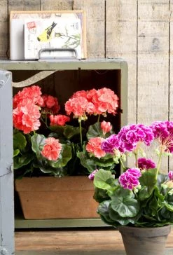 Mica Decorations Plantes D'intérieur Et Fleurs D'intérieur Géranium Artificielle Saumon En Pot H40 -Parasols Soldes Magasin geranium artificielle saumon en pot h40 4