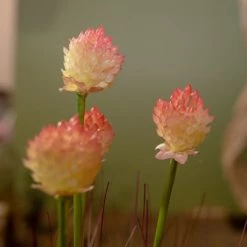 Pirouette Paris Plantes D'intérieur Et Fleurs D'intérieur Graminée Artificielle Avec Pot En Zinc H53 -Parasols Soldes Magasin graminee artificielle avec pot en zinc h53 2