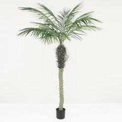 Ligne Déco Plantes D'intérieur Et Fleurs D'intérieur Grand Arbre Artificiel Faux Palmier Areca En Pot, H.180cm -Parasols Soldes Magasin grand arbre artificiel faux palmier areca en pot h 180cm 1