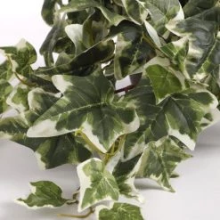 Mica Decorations Plantes D'intérieur Et Fleurs D'intérieur Hedera Artificielle Suspendu Varié En Pot -Parasols Soldes Magasin hedera artificielle suspendu varie en pot 2