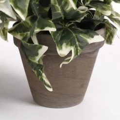 Mica Decorations Plantes D'intérieur Et Fleurs D'intérieur Hedera Artificielle Suspendu Varié En Pot -Parasols Soldes Magasin hedera artificielle suspendu varie en pot 3