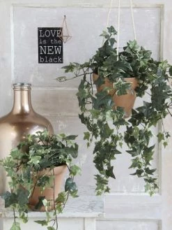 Mica Decorations Plantes D'intérieur Et Fleurs D'intérieur Hedera Artificielle Suspendu Varié En Pot -Parasols Soldes Magasin hedera artificielle suspendu varie en pot 4