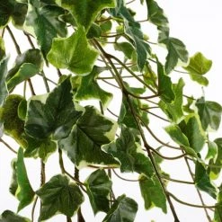 Mica Decorations Plantes D'intérieur Et Fleurs D'intérieur Hedera Artificielle Suspendu Varié H130 -Parasols Soldes Magasin hedera artificielle suspendu varie h130 2