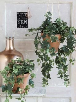 Mica Decorations Plantes D'intérieur Et Fleurs D'intérieur Hedera Artificielle Suspendu Varié H130 -Parasols Soldes Magasin hedera artificielle suspendu varie h130 4