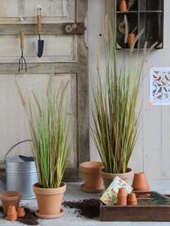 Mica Decorations Plantes D'intérieur Et Fleurs D'intérieur Herbe Dogtail Artificielle En Pot H80 -Parasols Soldes Magasin herbe dogtail artificielle en pot h80 1