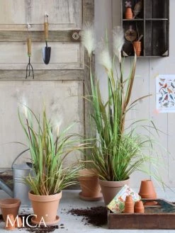 Mica Decorations Plantes D'intérieur Et Fleurs D'intérieur Herbe Fogtail Artificielle En Pot H80 -Parasols Soldes Magasin herbe fogtail artificielle en pot h80 1