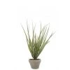 LANADECO Plantes D'intérieur Et Fleurs D'intérieur Herbes En Pot En Plastique Vert H39,5cm -Parasols Soldes Magasin herbes en pot en plastique vert h39 5cm