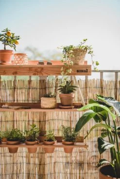 Balkonbar Pots, Cache-pots Et Jardinières D'extérieur Jardin Suspendu Pour Bar De Balcon En Pin Noir -Parasols Soldes Magasin jardin suspendu pour bar de balcon en pin noir 3