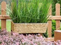 Beliani Pots, Cache-pots Et Jardinières D'extérieur Jardinière Balconnière Rectangulaire Beige Sable 60x18 -Parasols Soldes Magasin jardiniere balconniere rectangulaire beige sable 60x18 2