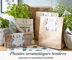 Réconciliation Végétale Plantes D'intérieur Et Fleurs D'intérieur Kit De Jardinage Spécial Plantes Aromatiques -Parasols Soldes Magasin kit de jardinage special plantes aromatiques 2