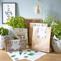Réconciliation Végétale Plantes D'intérieur Et Fleurs D'intérieur Kit De Jardinage Spécial Plantes Aromatiques